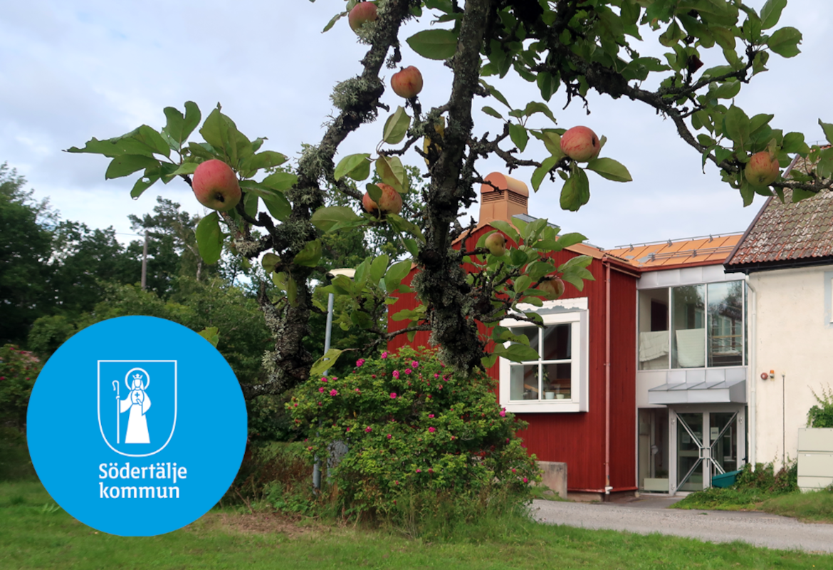 Stiftelsen Emyhemmet