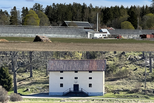 Konstutställningar