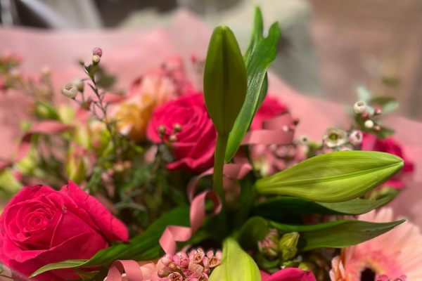 Petras Blommor