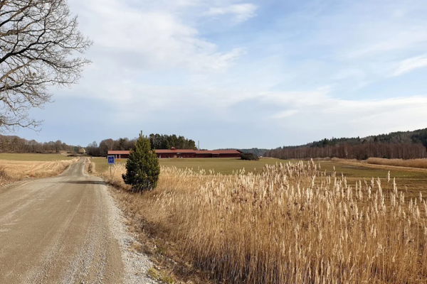 Wexthuset